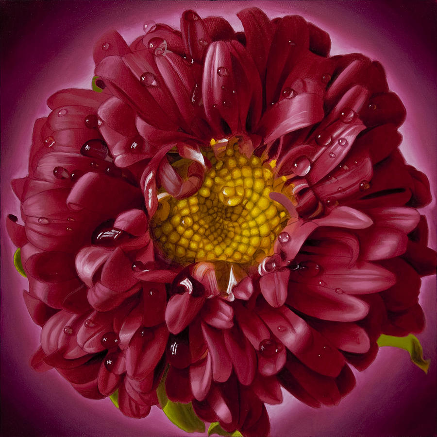 Curly Pink Mum with Yellow Center Painting by Tony Chimento