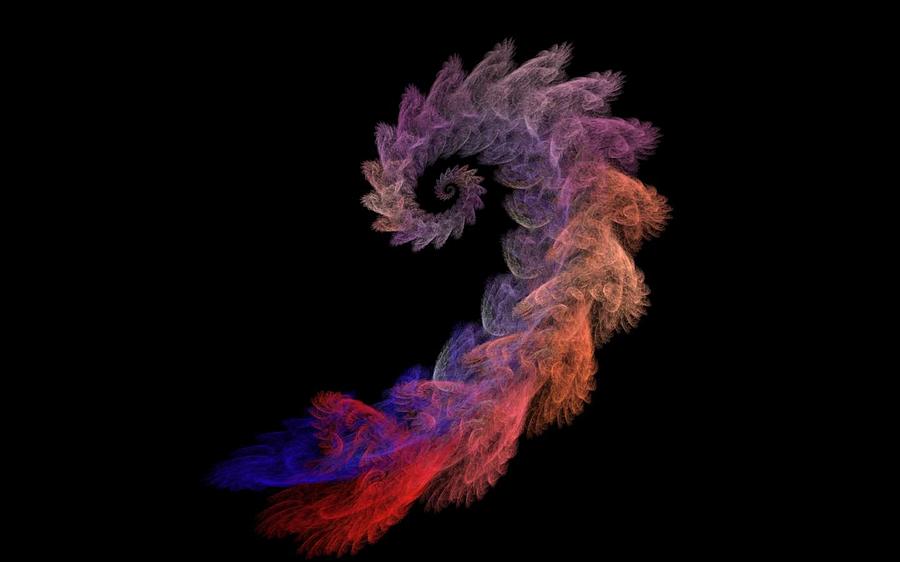 Curly Swirl Digital Art by Rhonda Barrett