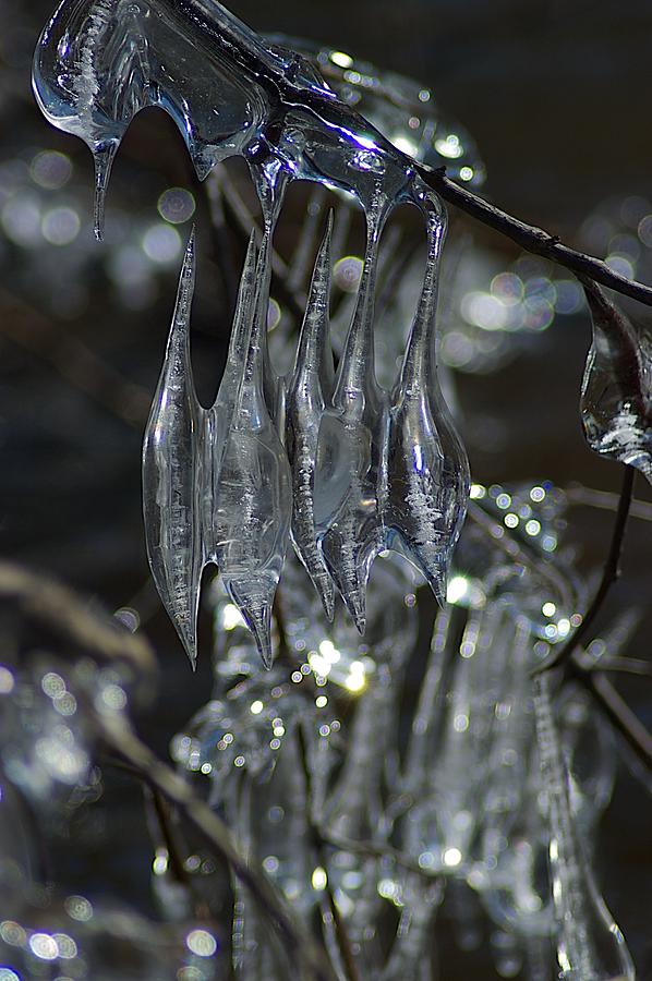 Ice Photograph - Curve by Joseph Yarbrough