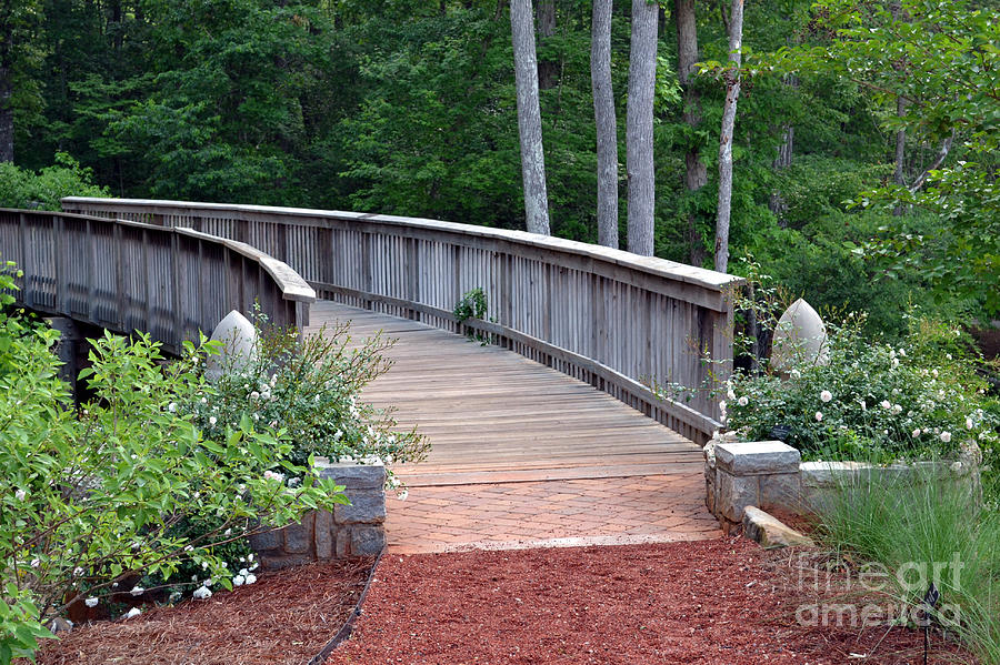 Curved Wooden Bridge Photograph by Eva Thomas - Fine Art America