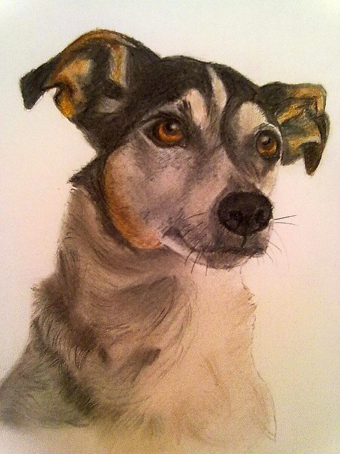 Cute Jack Russell Drawing by Diane Leuzzi