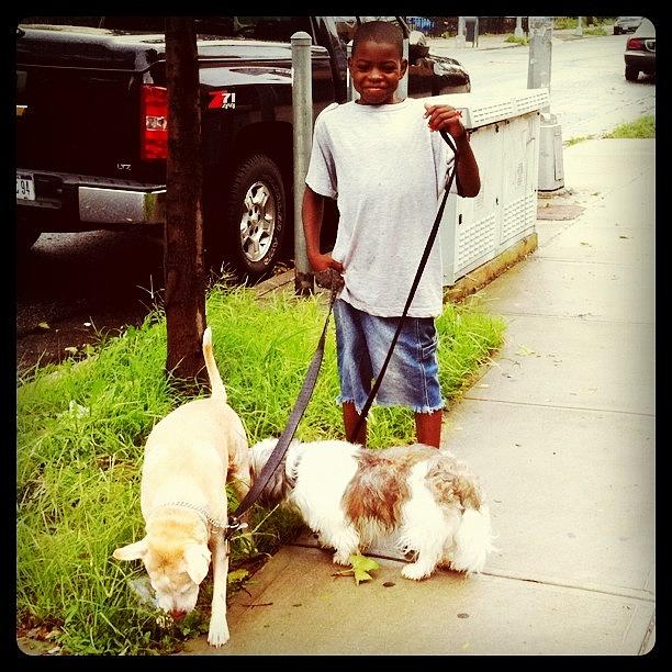 Cute Kid Out Walking His Dogs--finally Photograph by Deirdre Mars