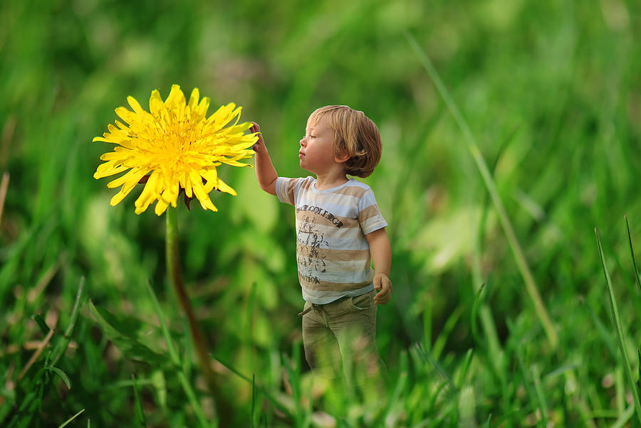 Cute tiny boy playing in the grass Photograph by Jaroslaw Grudzinski