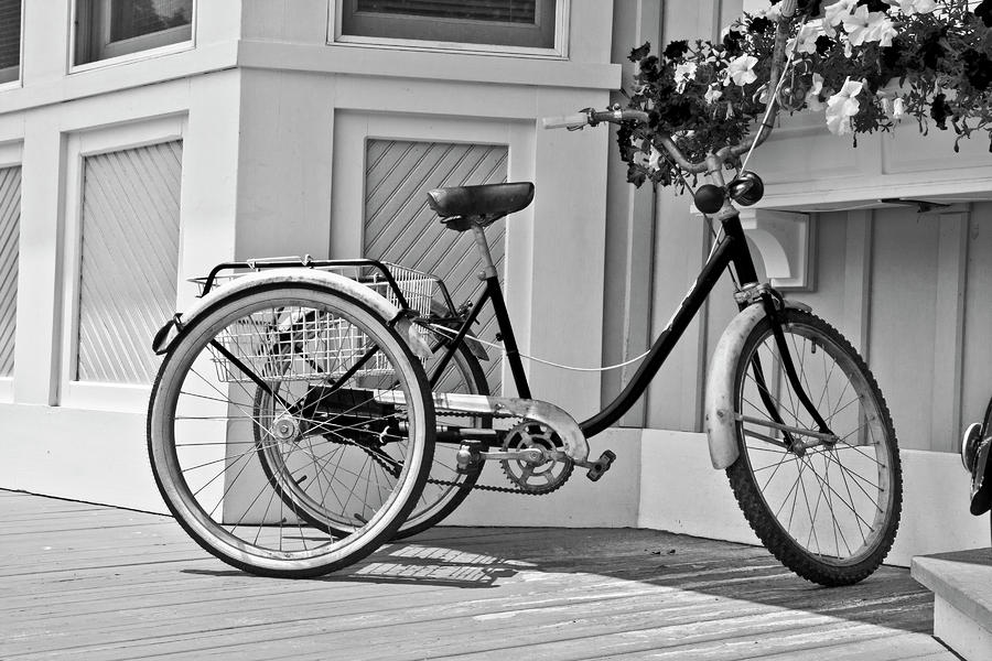 Bicycle Photograph - Cycle by Betsy Knapp