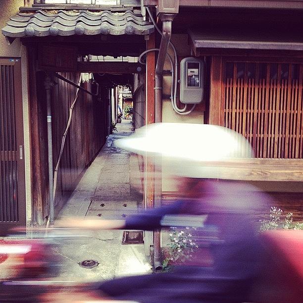 Japan Photograph - Cyclist in Kyoto by Marc Gascoigne