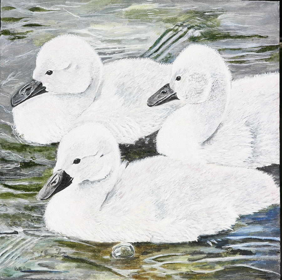 Cygnets Painting by Betty-Anne McDonald
