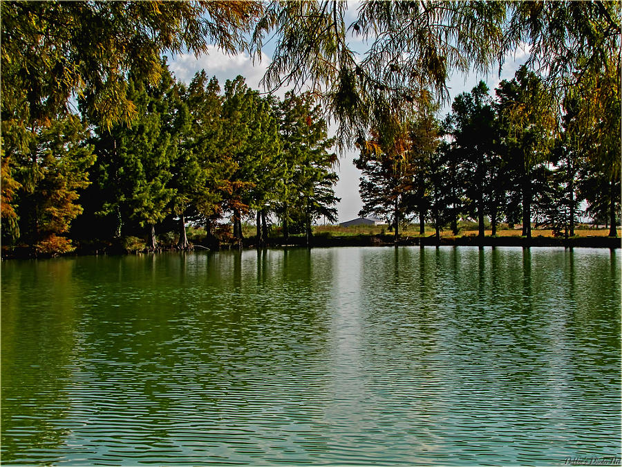 Hiking Trails at Cypress Lake