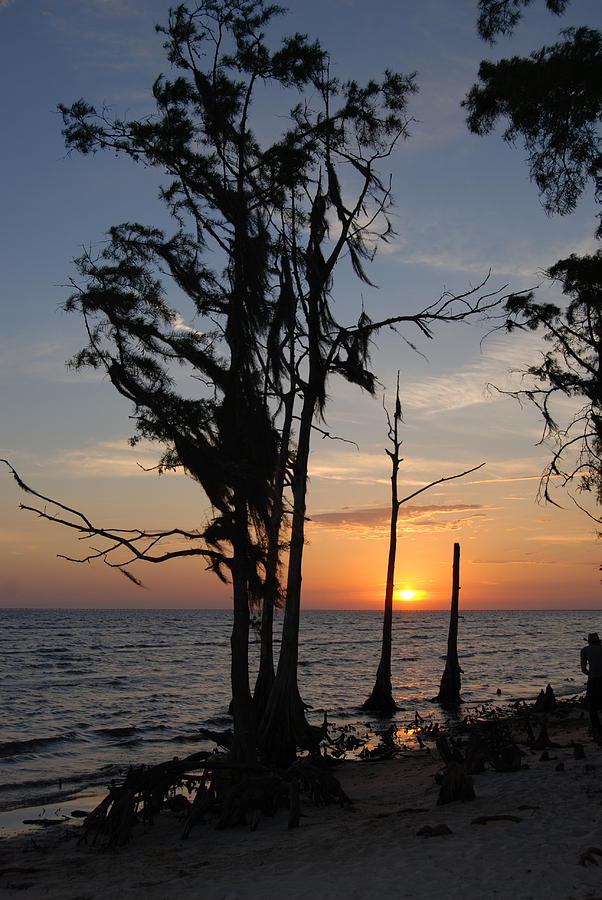 Sunset Photograph - Cypress Sunset by Beth Gates-Sully