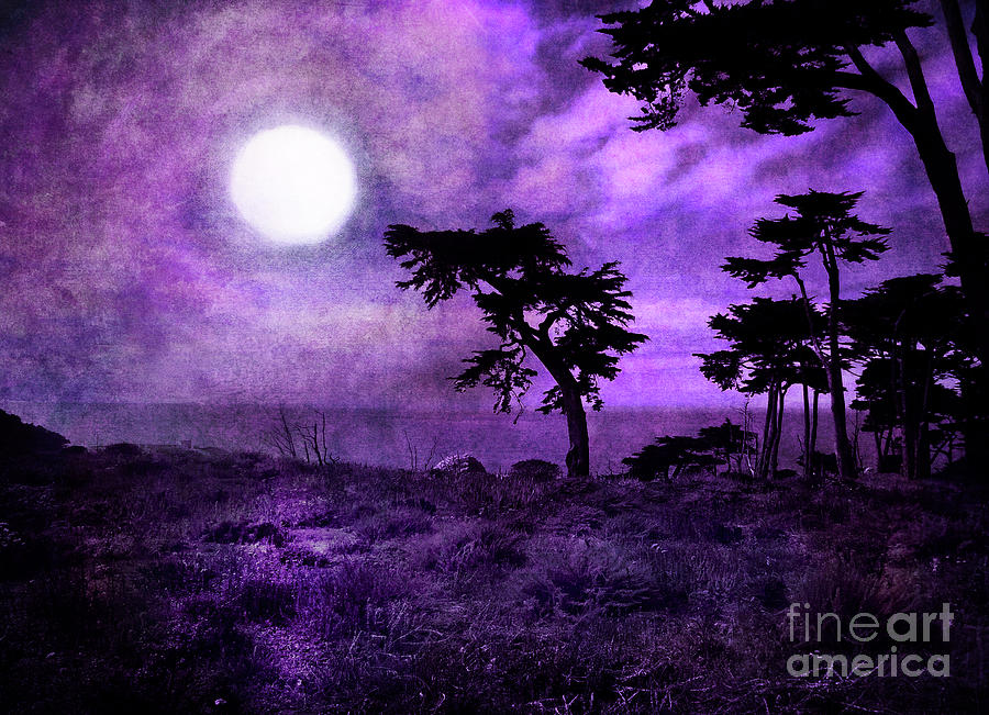 Cypress Trees at Sutro Heights Digital Art by Laura Iverson