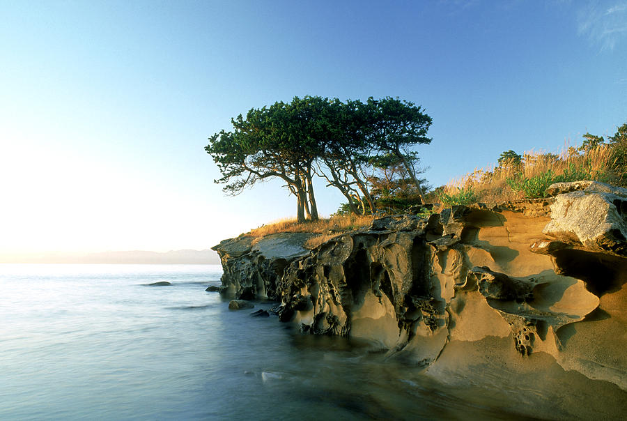 Cypress Trees On Sandstone Islet Photograph by David Nunuk