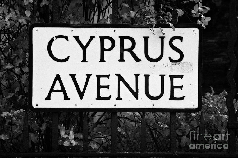 Van Morrison Photograph - Cyprus Avenue Belfast as made famous by the Van Morrison song by Joe Fox