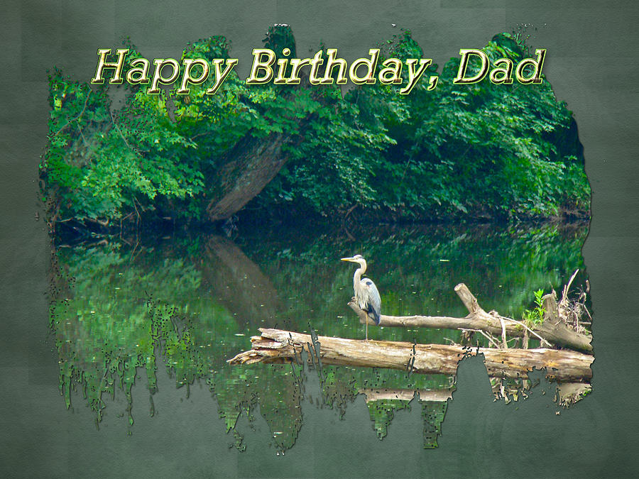 Heron Photograph - Dad Birthday Greeting Card - Heron on Fallen Tree by Carol Senske