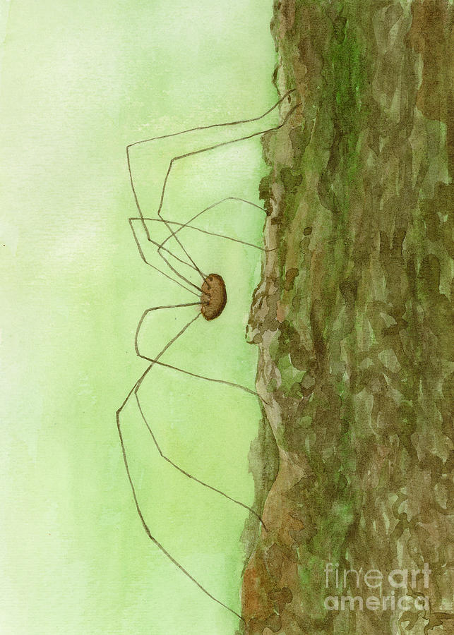 Daddy Long Legs Painting by Jackie Irwin