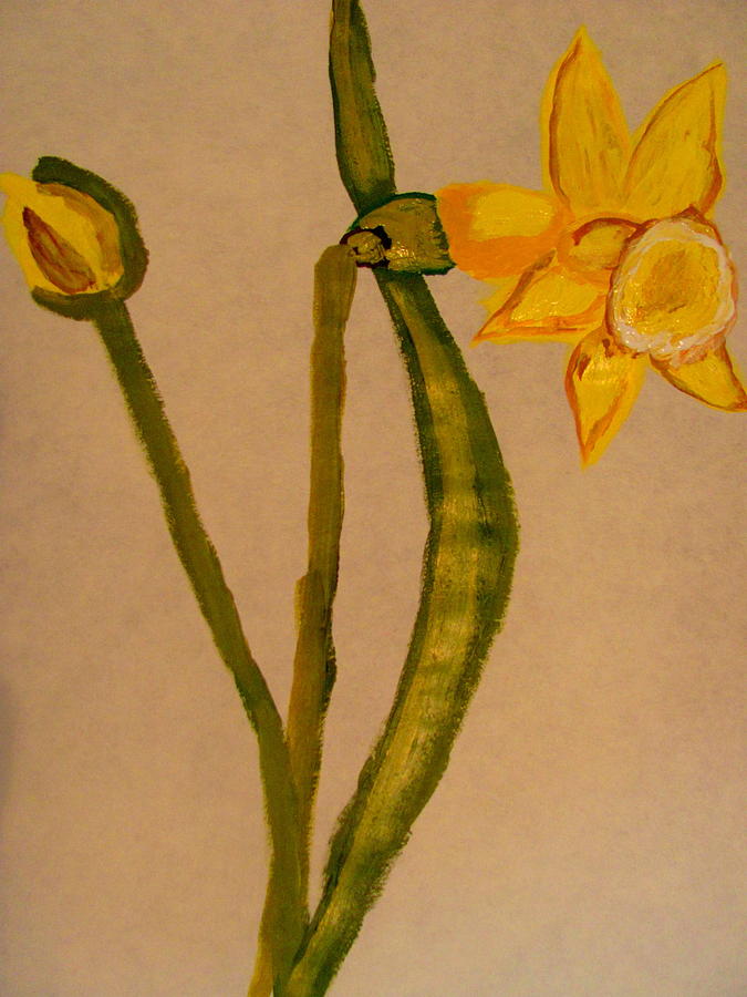Flowers Still Life Painting - Daffodil by Amy Bradley
