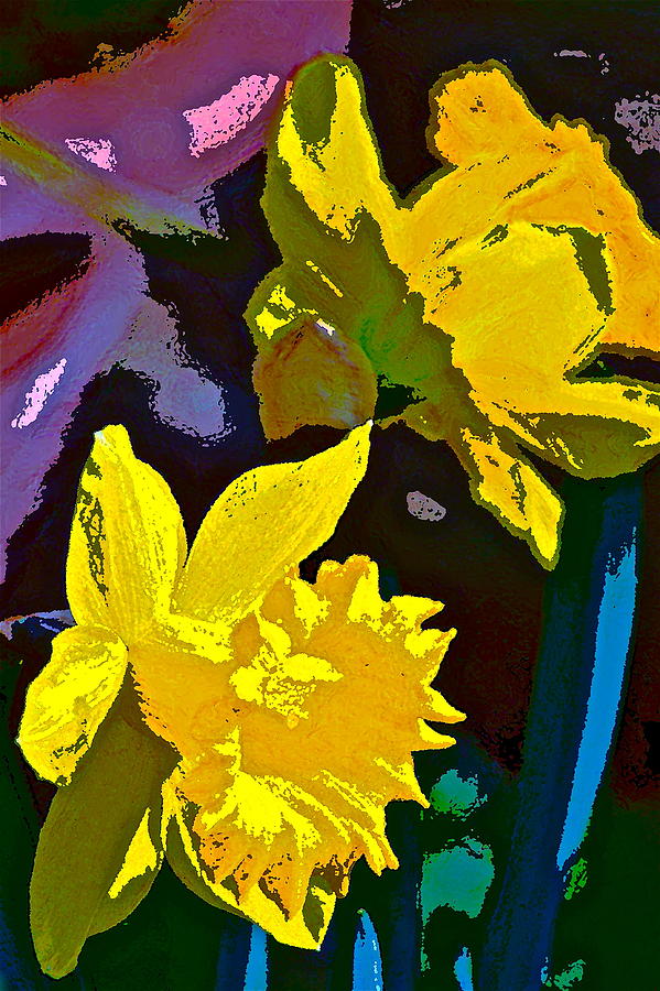 Daffodils 9 Photograph by Pamela Cooper