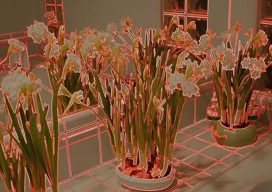 Daffodils Galore Digital Art by Lessandra Grimley