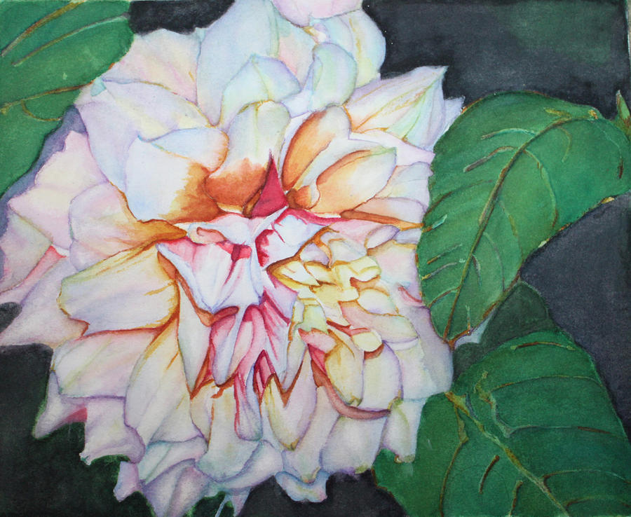Dahlia Beauty Painting by Christiane Kingsley