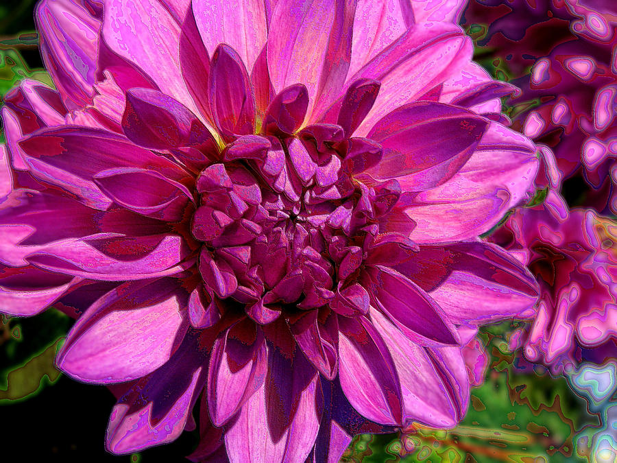 Dahlia Describes The Color Pink Photograph by Lora Fisher