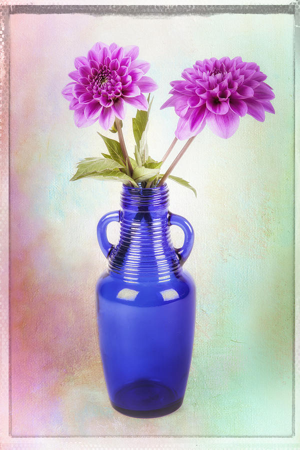 Dahlia in blue vase Photograph by James Bethanis