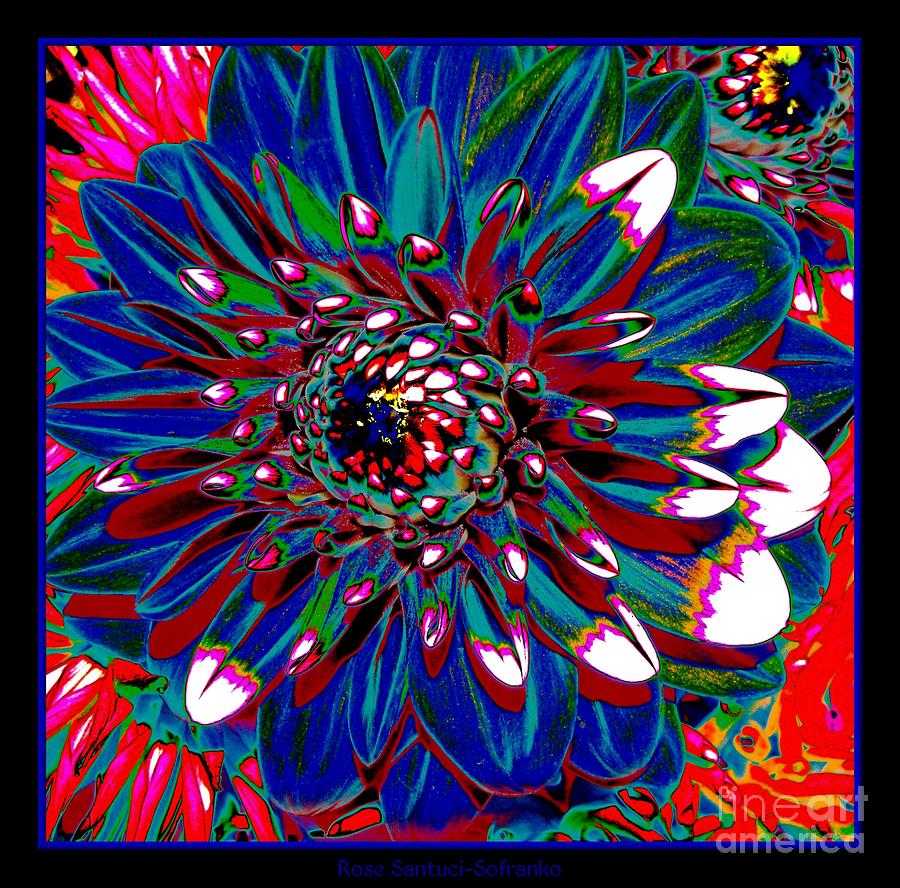 Flower Photograph - Dahlia with Intense Primaries Effect by Rose Santuci-Sofranko