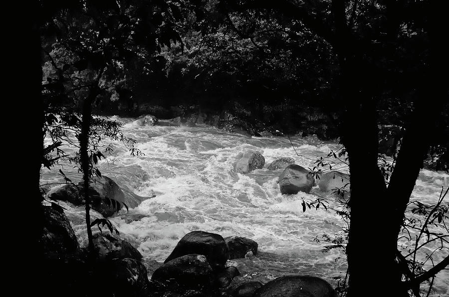 Daintree National Park Rain Forest Rapids Photograph by Harry Strharsky