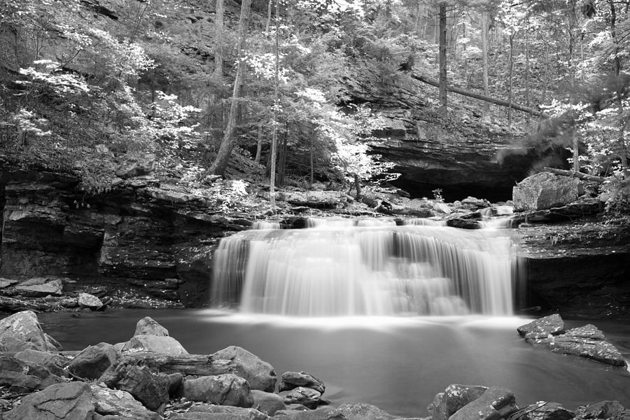 Dainty Waterfall Photograph by David Troxel