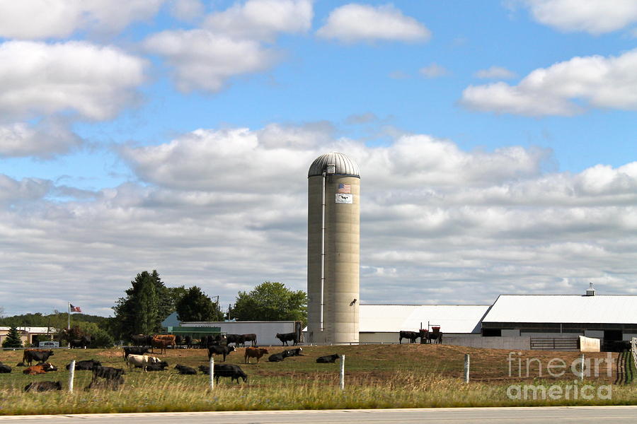 Dairy Farm Photograph by Pamela Walrath