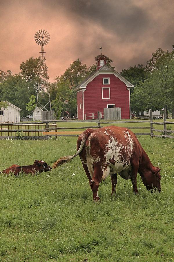 Dairy Farm Photograph by Scott Hovind