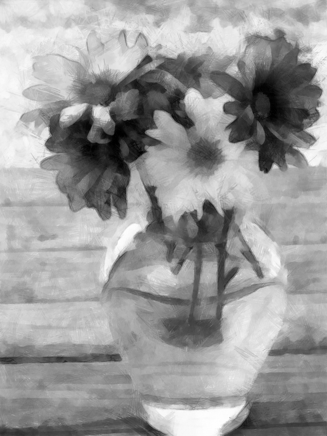 Daisy Crazy BW Revisited Photograph by Angelina Tamez