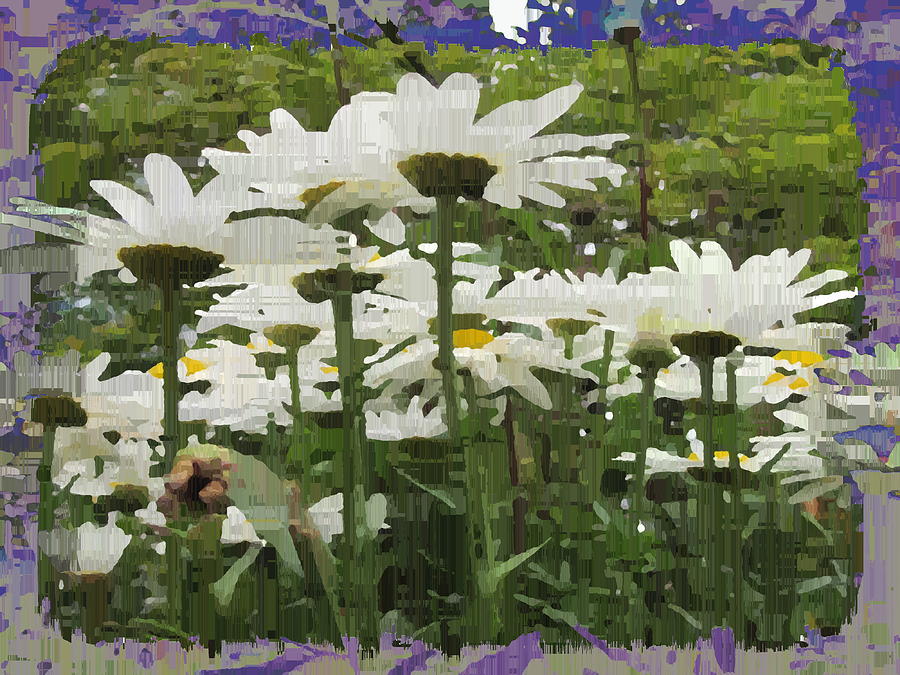 Tim Allen Digital Art - Daisy Fields Forever by Tim Allen
