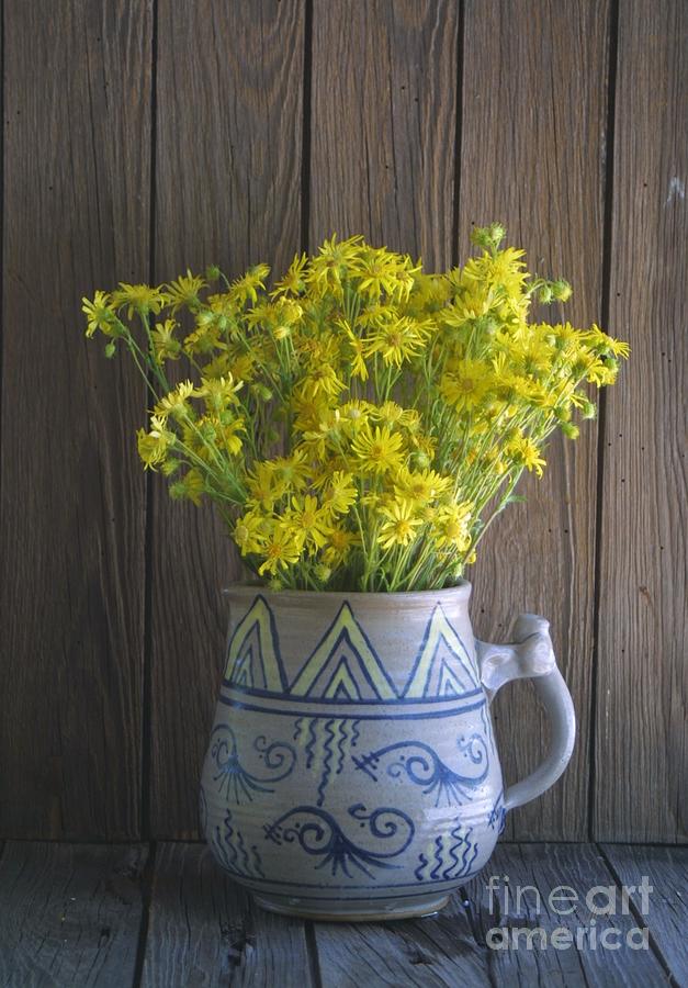 Daisy Pitcher Photograph by Dodie Ulery