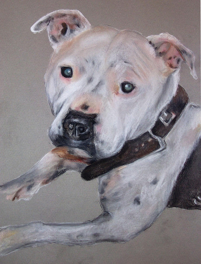 Dog Painting - Daisy by Tanya Patey