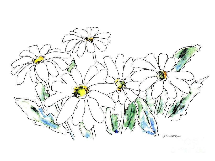 Daisy Painting - Daisy Watercolor Drawing 2 by Gordon Punt