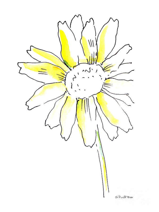 Daisy Painting - Daisy Watercolor Painting 1 by Gordon Punt