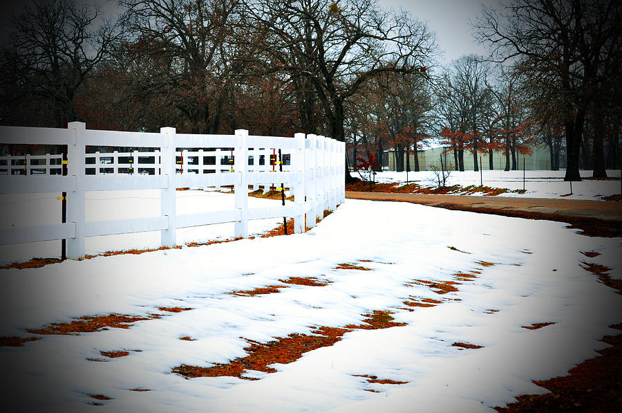 Dallas Snow Photograph by Helen Haw Fine Art America