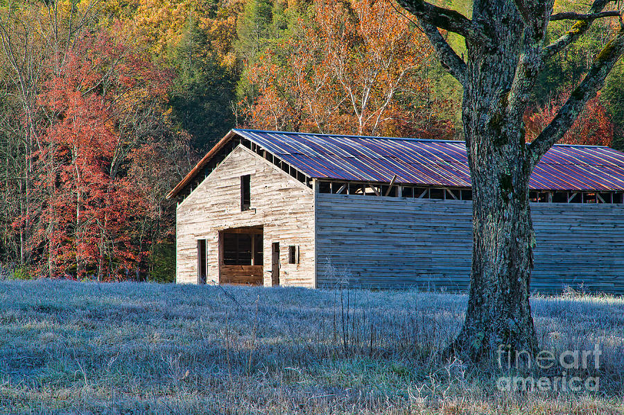 Dan Lawson Place Barn in Autumn Photograph by Clarence Holmes