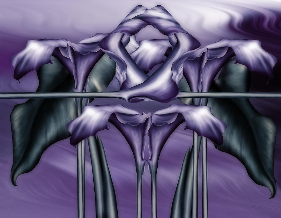 Flower Digital Art - Dance Of The Purple Calla Lilies V by Georgiana Romanovna