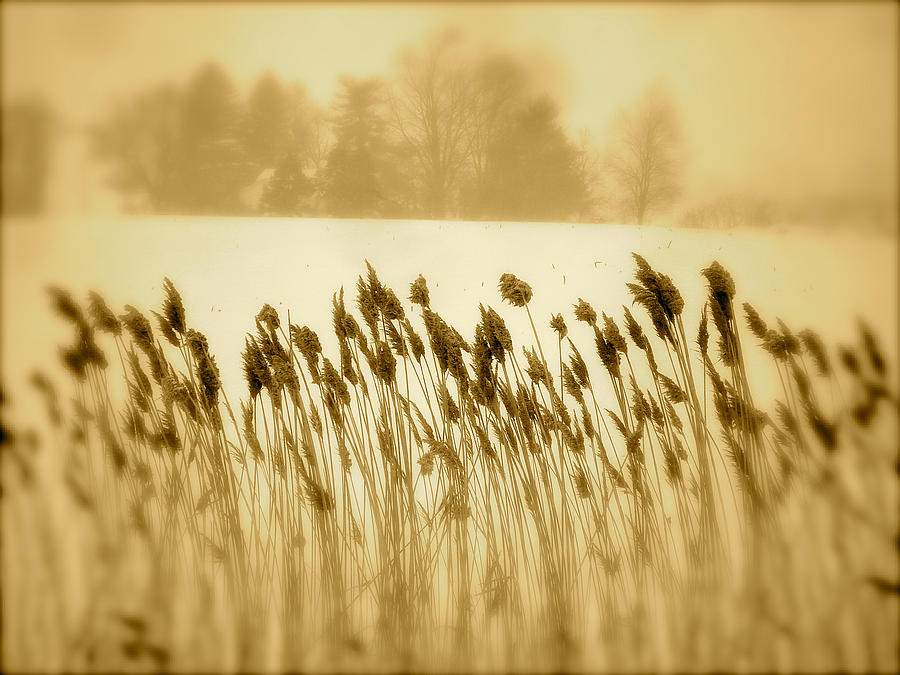 Landscape Photograph - Dancing by Arthur Barnes Landscape Photograph - Dancing by Arthur Barnes