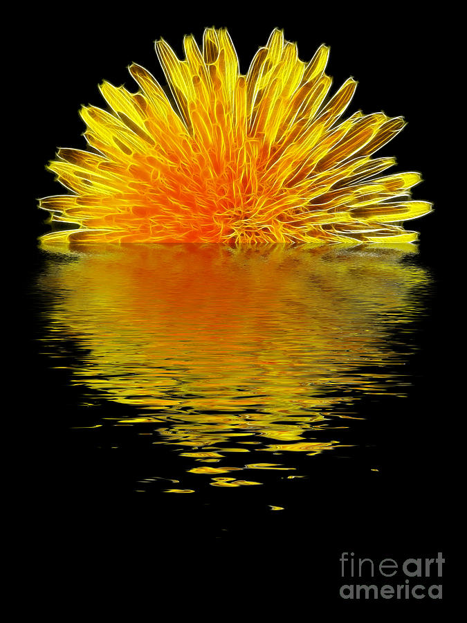 Dandelion reflection Photograph by Steev Stamford