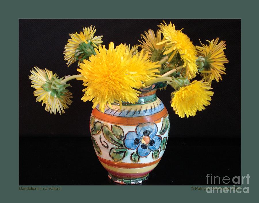 Dandelions in a Vase-II Photograph by Patricia Overmoyer