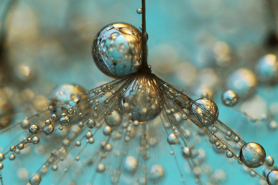 Abstract Photograph - Dandy Shower in Silver and Blue by Sharon Johnstone