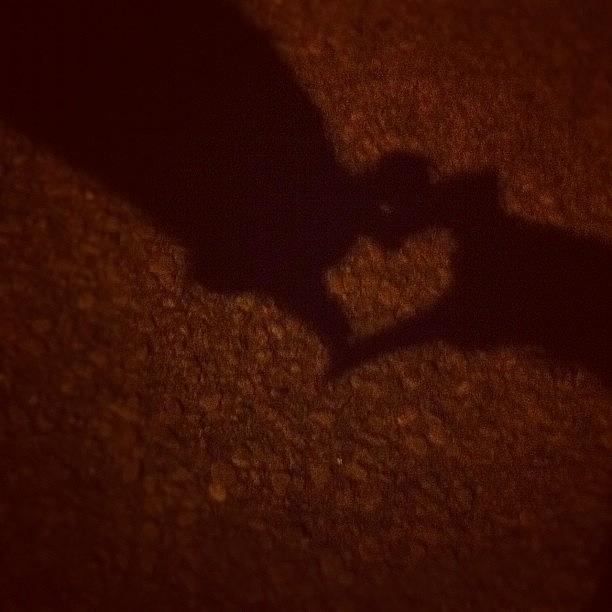 Danielle And Is Shadow Heart <3 Photograph by Michaela Zinsmeister
