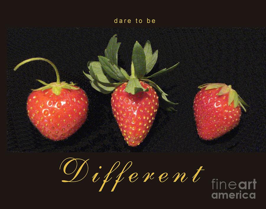 Dare to be Different Photograph by Patricia Overmoyer