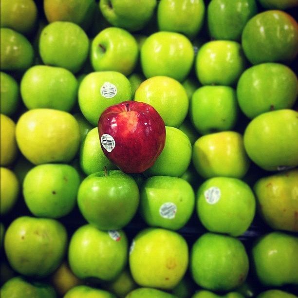 Dare To Be Different. (stolen From My Photograph by Zoe Sutter