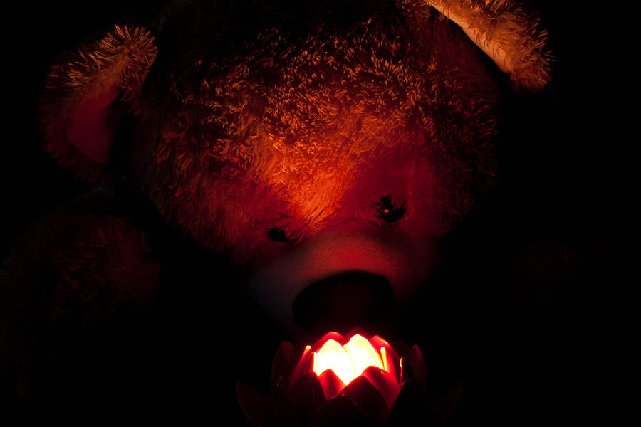 teddy bear dark