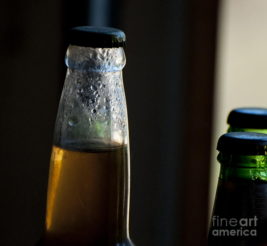 Dark Beer Bottles Photograph by Wilma  Birdwell