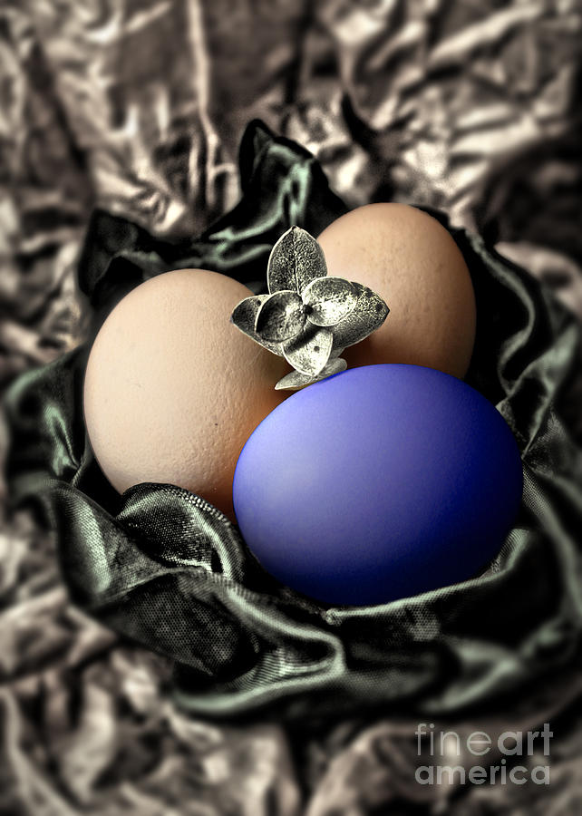 Dark Blue Easter Egg Photograph by Danuta Bennett