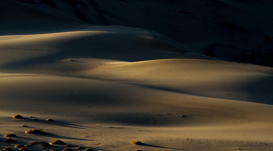 Dark dunes Photograph by Jean Noren