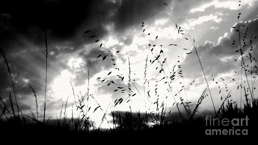 Dark Photograph - Dark Field by Enrique Collado