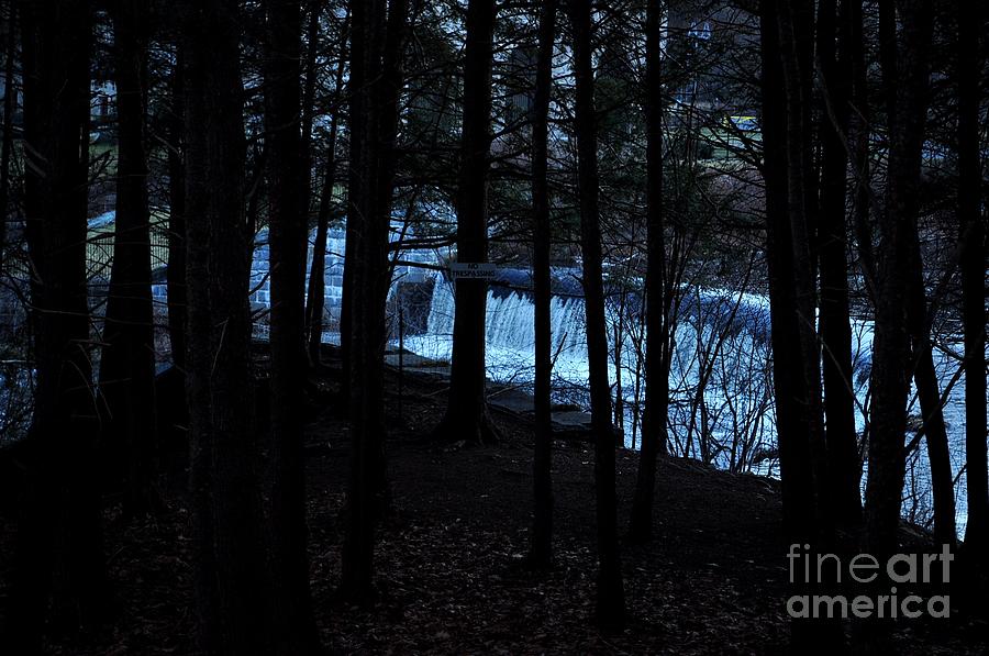 Landscape Photograph - Dark Forest  by Gwen  Dubeau